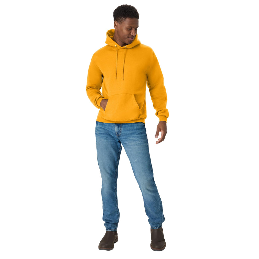 Hanes Men's EcoSmart Fleece Hoodie