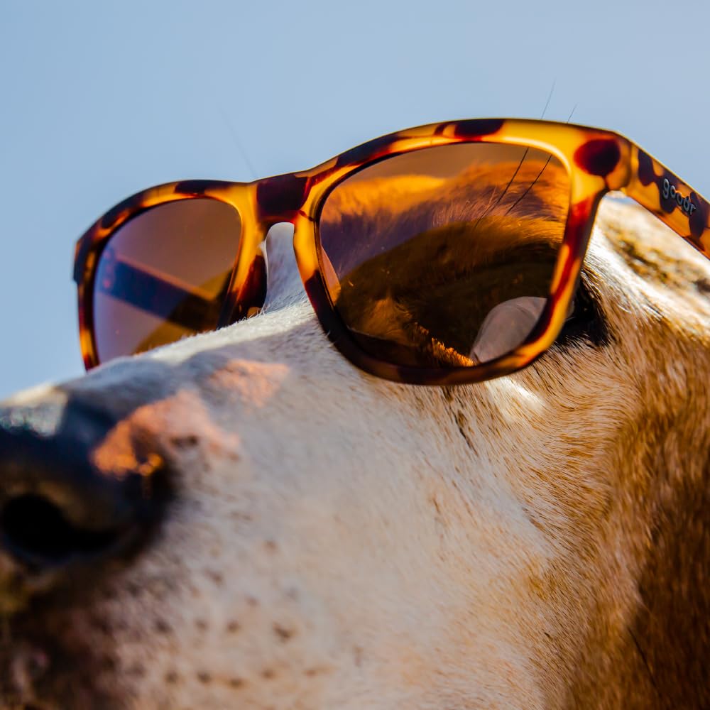 goodr OG Polarized Sunglasses Women & Men