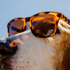 goodr OG Polarized Sunglasses Women & Men