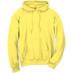 Hanes Men's EcoSmart Fleece Hoodie