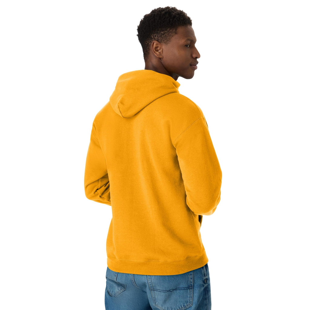 Hanes Men's EcoSmart Fleece Hoodie