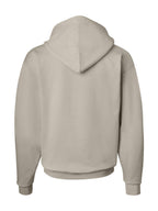 Hanes Men's EcoSmart Fleece Hoodie