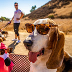 goodr OG Polarized Sunglasses Women & Men