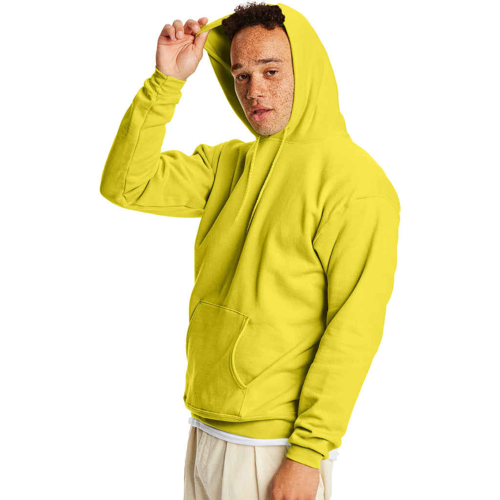 Hanes Men's EcoSmart Fleece Hoodie