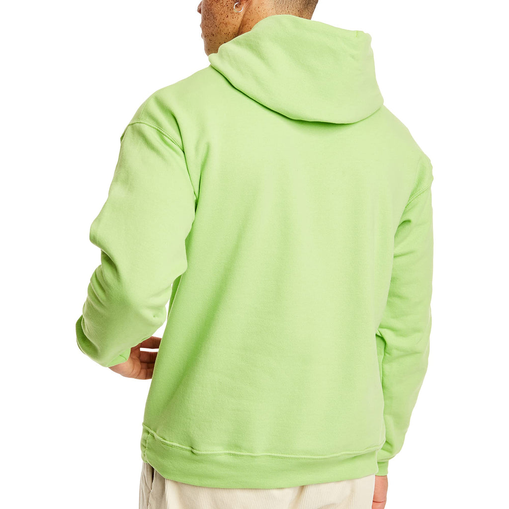 Hanes Men's EcoSmart Fleece Hoodie