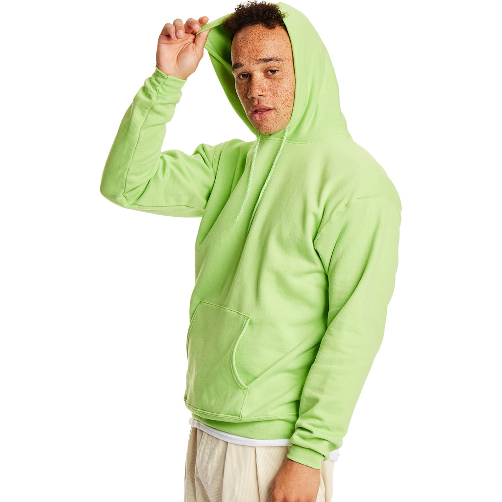 Hanes Men's EcoSmart Fleece Hoodie
