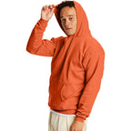 Hanes Men's EcoSmart Fleece Hoodie