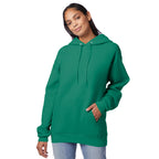 Hanes Men's EcoSmart Fleece Hoodie
