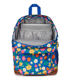 JanSport Cool Backpack, with 15-inch Laptop Sleeve - Large Computer Bag Rucksack with 2 Compartments, Ergonomic Straps